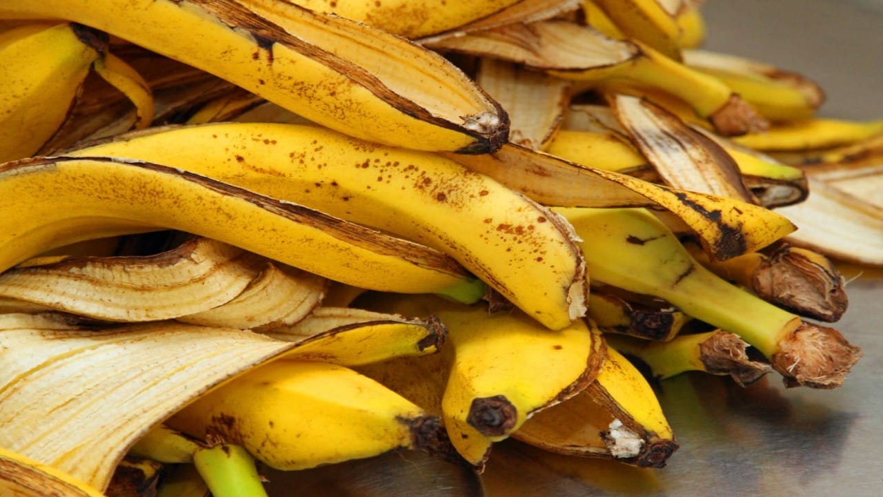 Non buttarlo via, è un tesoro: come riciclare le bucce di banana in casa