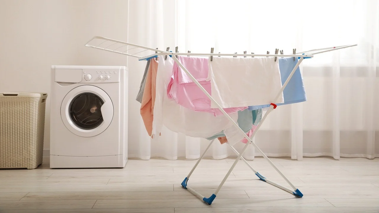 Gli esperti concordano: 