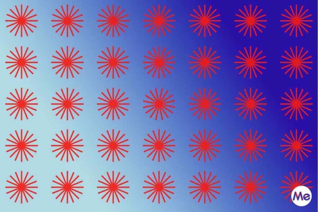 Illustrazione con animali e un serpente nascosto tra di loro.