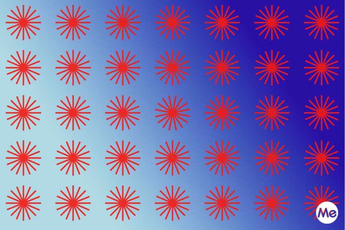 Illustrazione con animali e un serpente nascosto tra di loro.