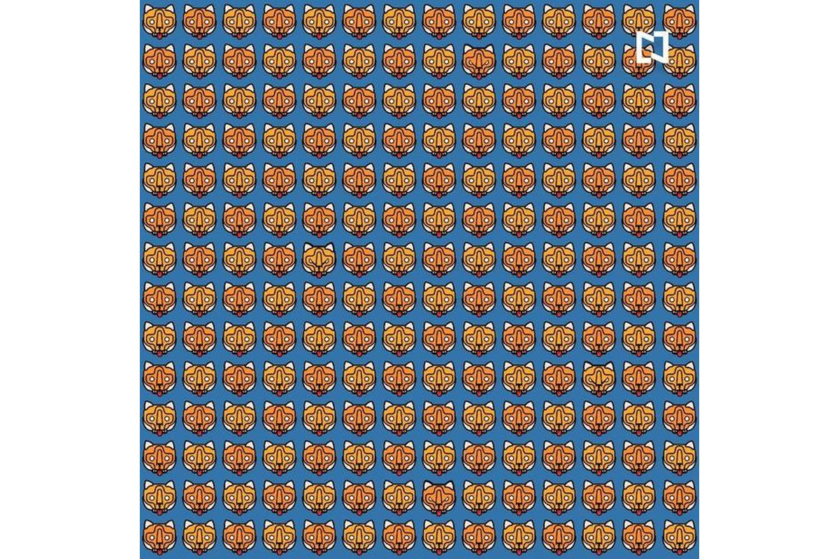 Illustrazione colorata con un serpente nascosto tra foglie e fiori.